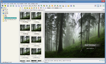 Showing the FastStone Image Viewer interface